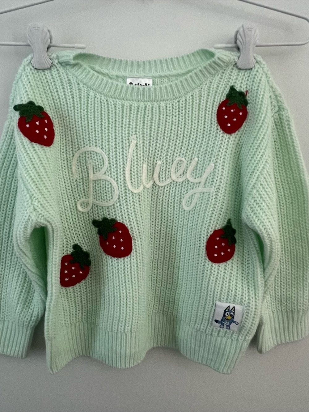 Bluey Mint Green Strawberry Knit Sweater for Kids